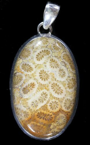 Million Year Old Fossil Coral Pendant - Sterling Silver #49561